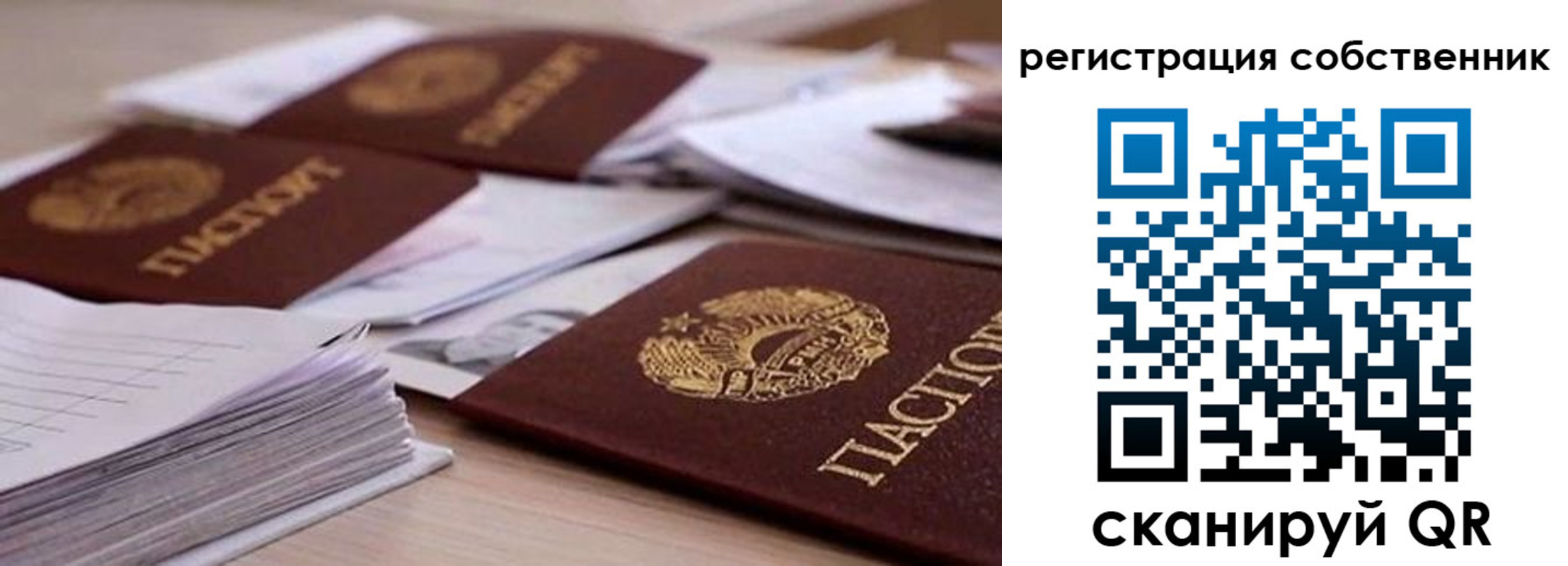 прописка штамп в Элисте